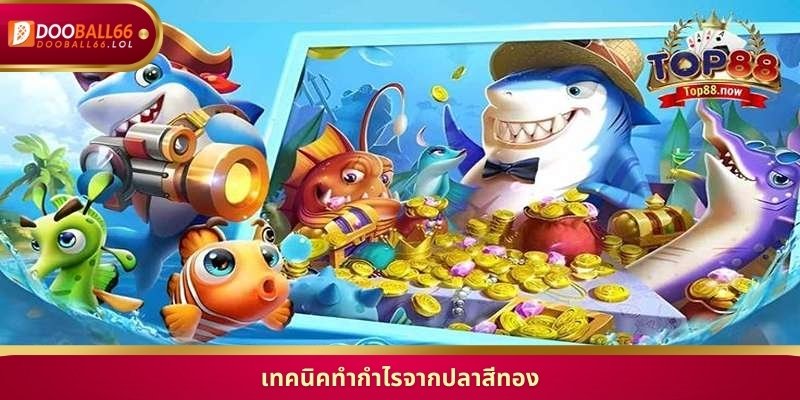 เทคนิคทำกำไรจากปลาสีทอง